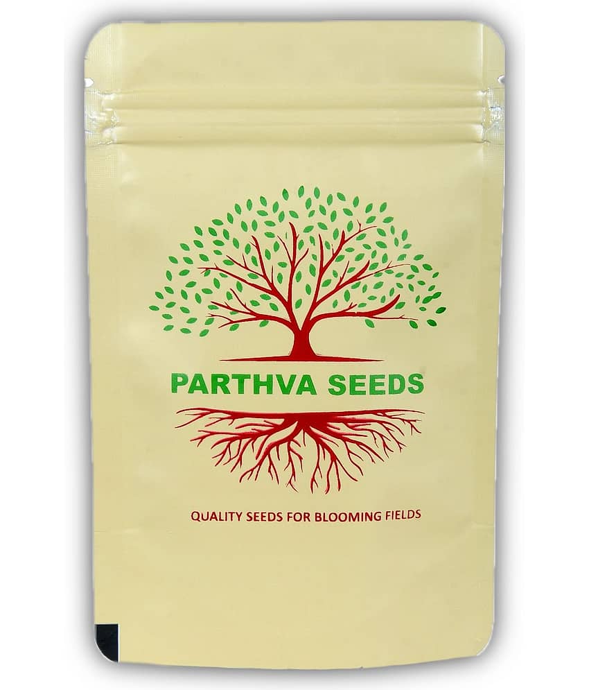 Brachyscome 30 Premium Seeds view 2