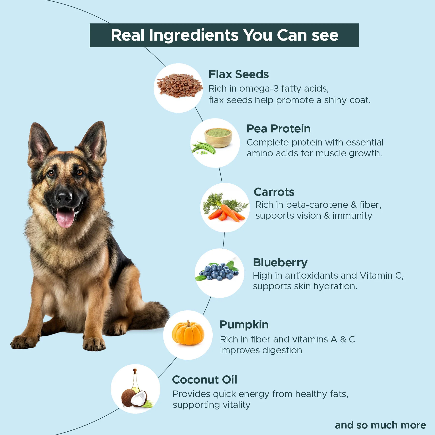 Adult Air Dried Dog Food - 200 g view 2