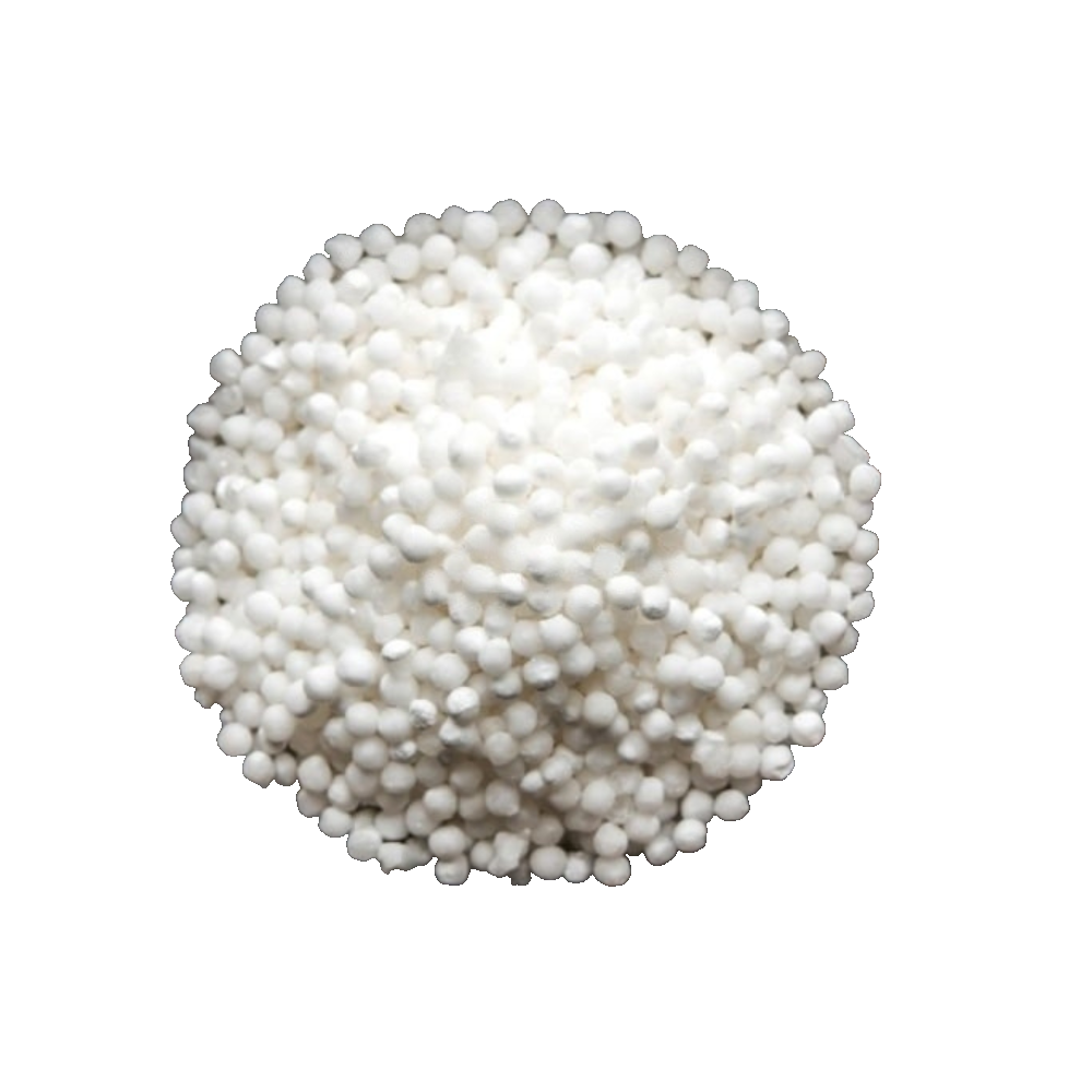 Sabudana 1 Kg