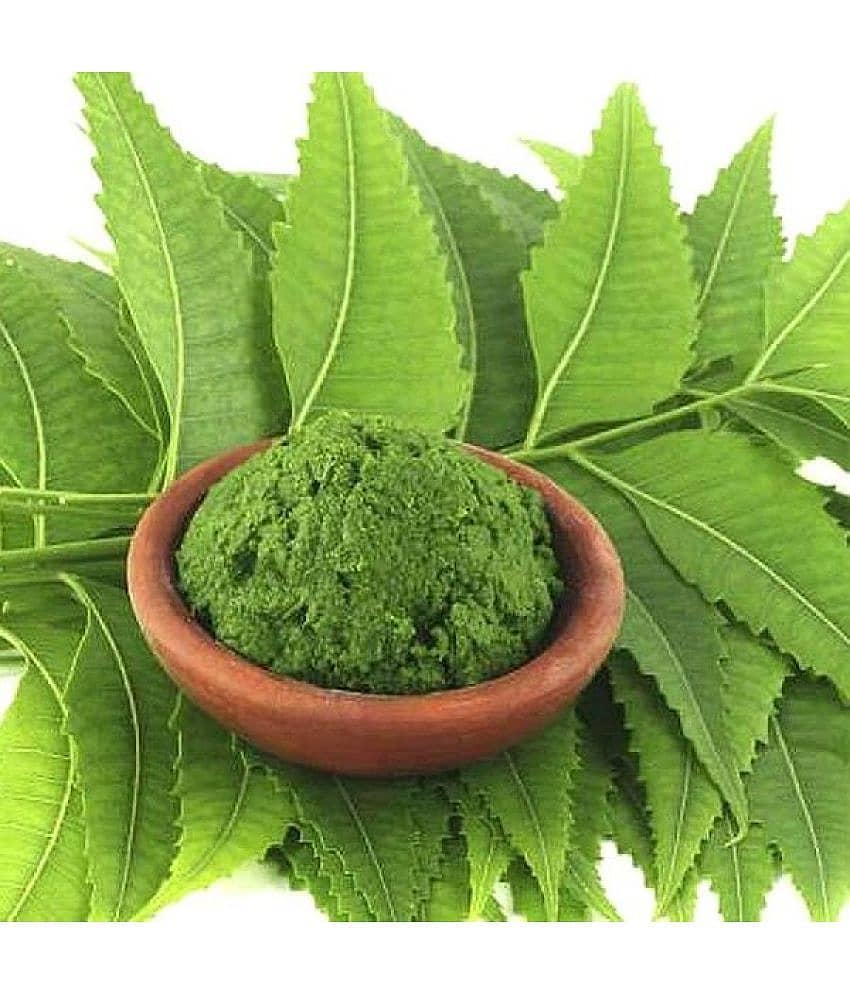 MYGODGIFT Neem Patta Powder - Azadirachta Indica - Neem Leaves 200 gm view 2