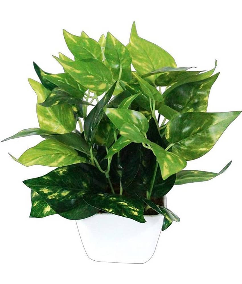 Green plant indoor Artificial Money Plants Multicolour Bonsai Plastic - Pack of 1 view 2