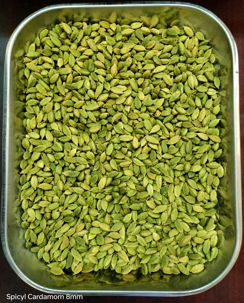 Spicyl Cardamom 8 mm and above Sizes, Premium Grade, 1st Quality, Indian Green Cardamom, Whole Cardamom, Green Elaichi (Pack of 1) (Size - 500 Gram) by Spicyl Cardamom Private Limited view 2