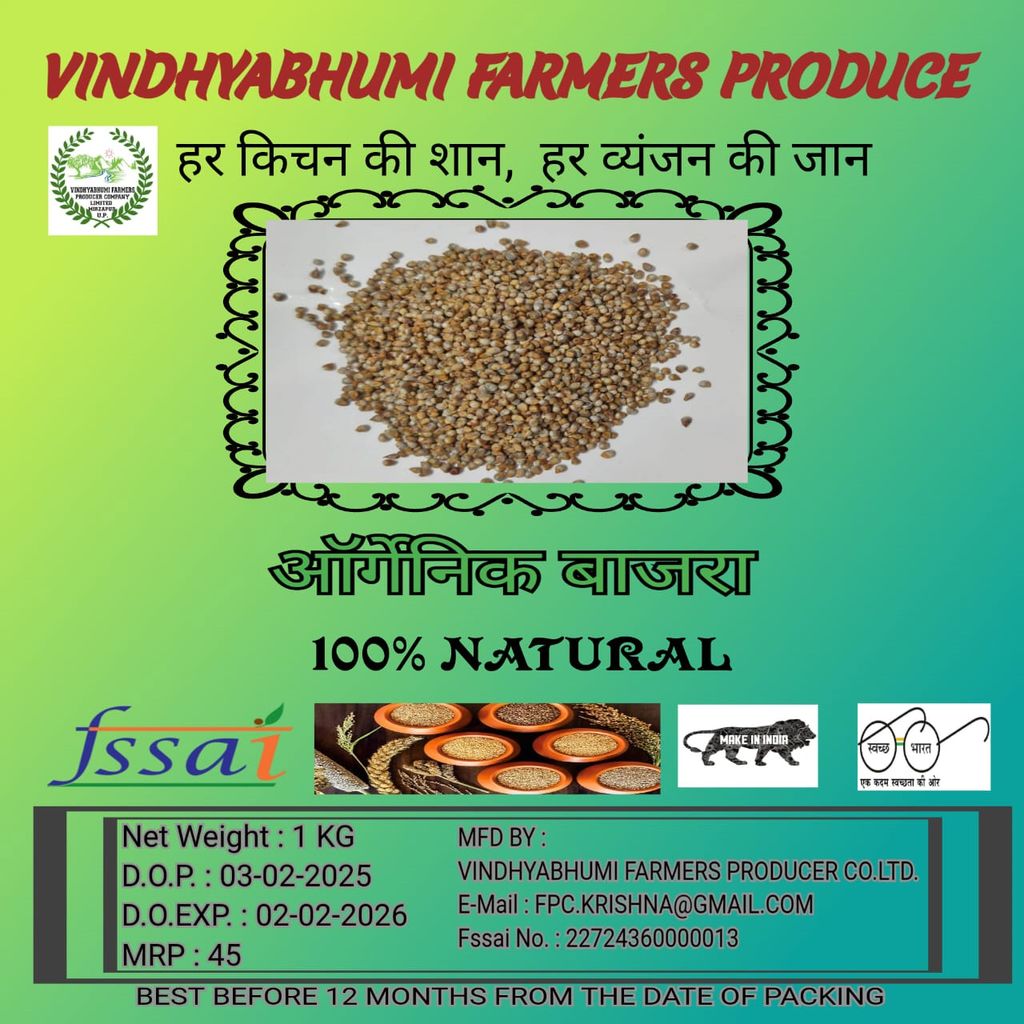 Organic Bajra | 100% Natural | Gluten-Free | High in Fiber | Rich in Nutrients | Healthy Food | 1kg view 2