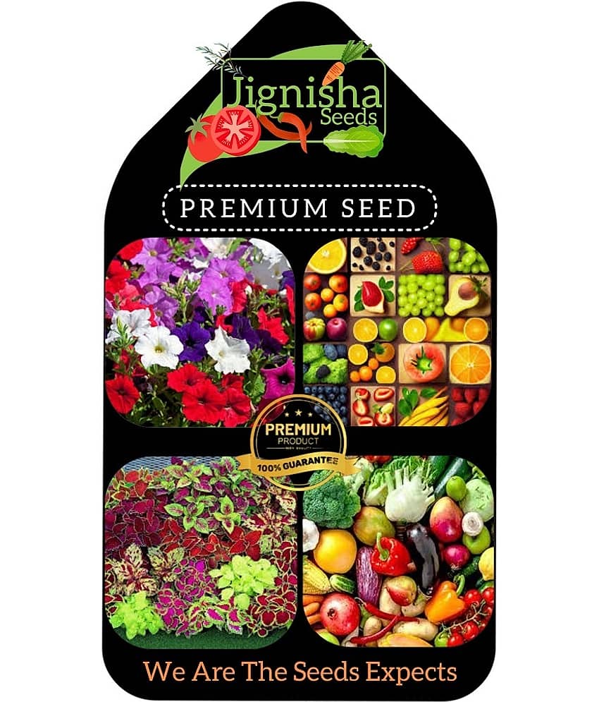 Recron Seeds - Green Chilli Vegetable ( 50 Seeds ) view 2
