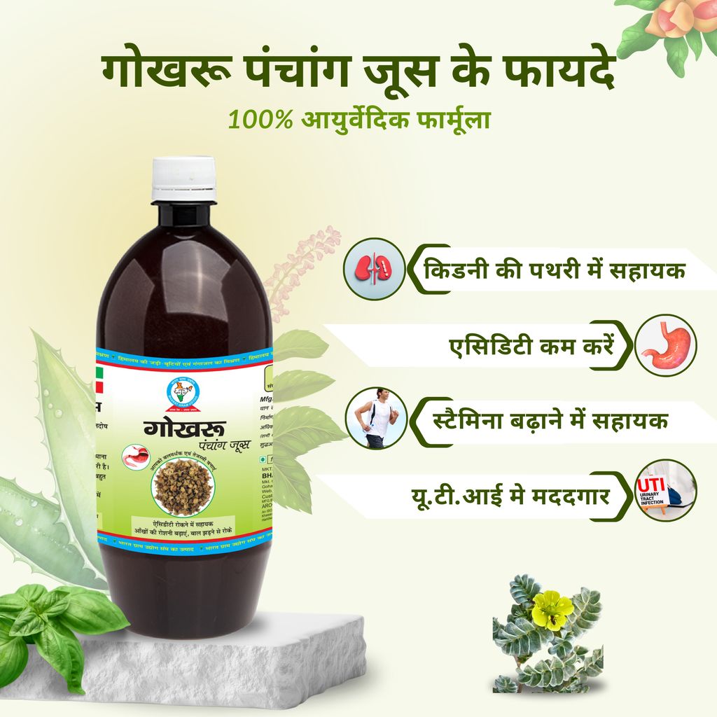Bharat Gram Udyog Gokhru Panchang Juice - Kidney Health and Muscle Strength Support, 1 L view 2