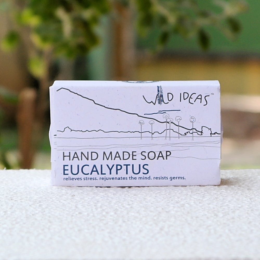 Wild Ideas Eucalyptus Body Soap (Set of 4) view 2