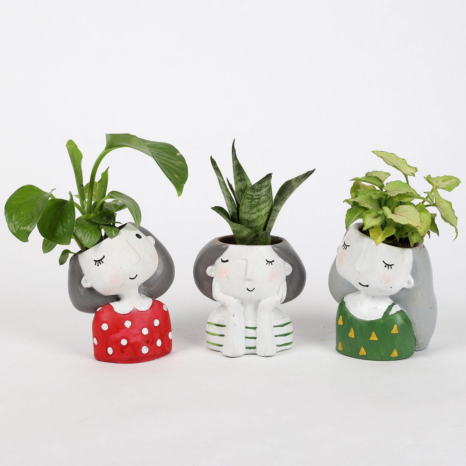 Set Of 3 Green Plants In Cute Girl Pots view 2