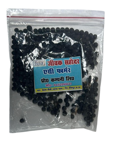 Satavar Seed 100Gms