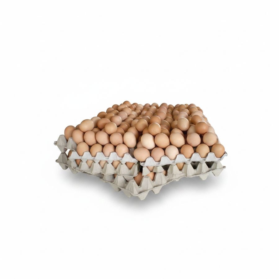 Fresh Brown Eggs in Tray - 50 gm - One egg view 2