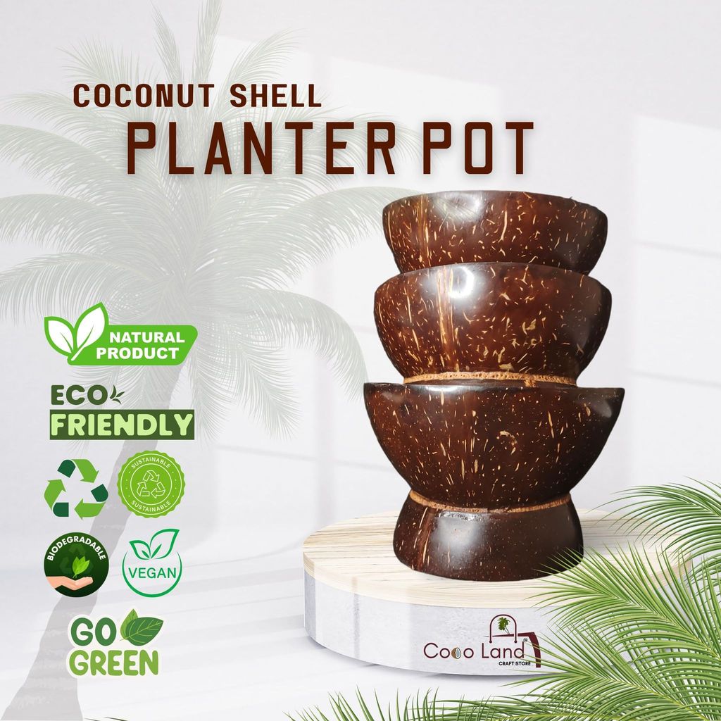 CocoLand Coconut Shell Planter Pot Large Size 250 ml view 2