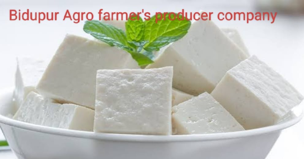 SOYA PANEER (TOOFU) view 2