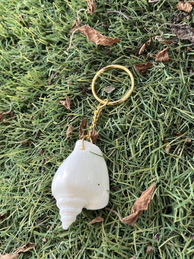 Natural White Seashell Keychain with Gold Ring, Beach Theme Decorative Accessory view 2