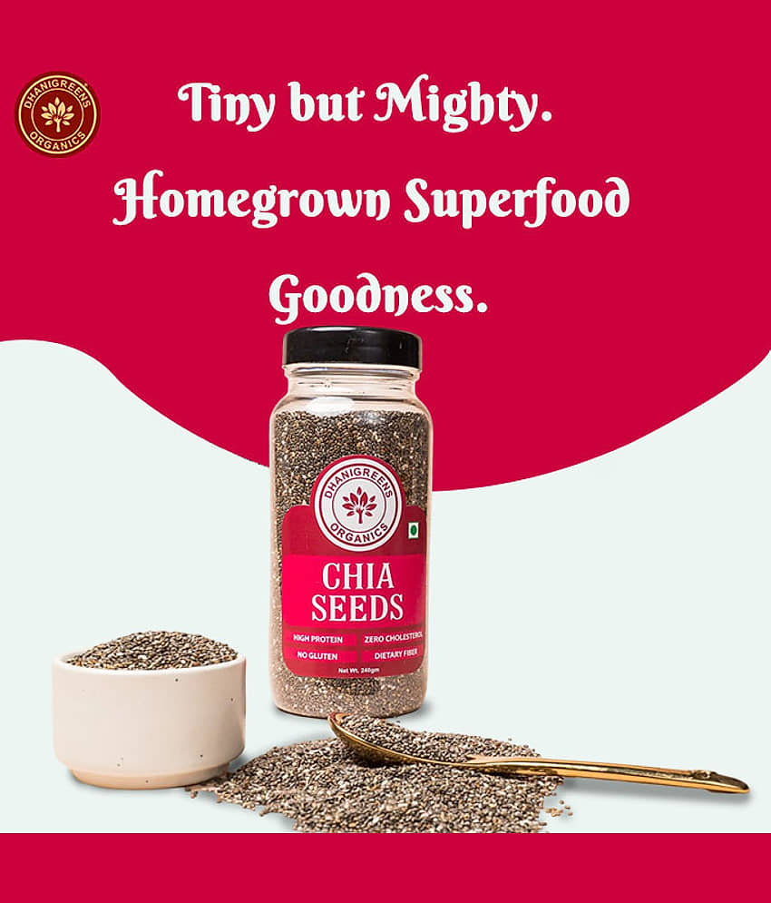 DHANIGREENS ORGANICS Chia Seeds 720 g Pack of 3 view 2