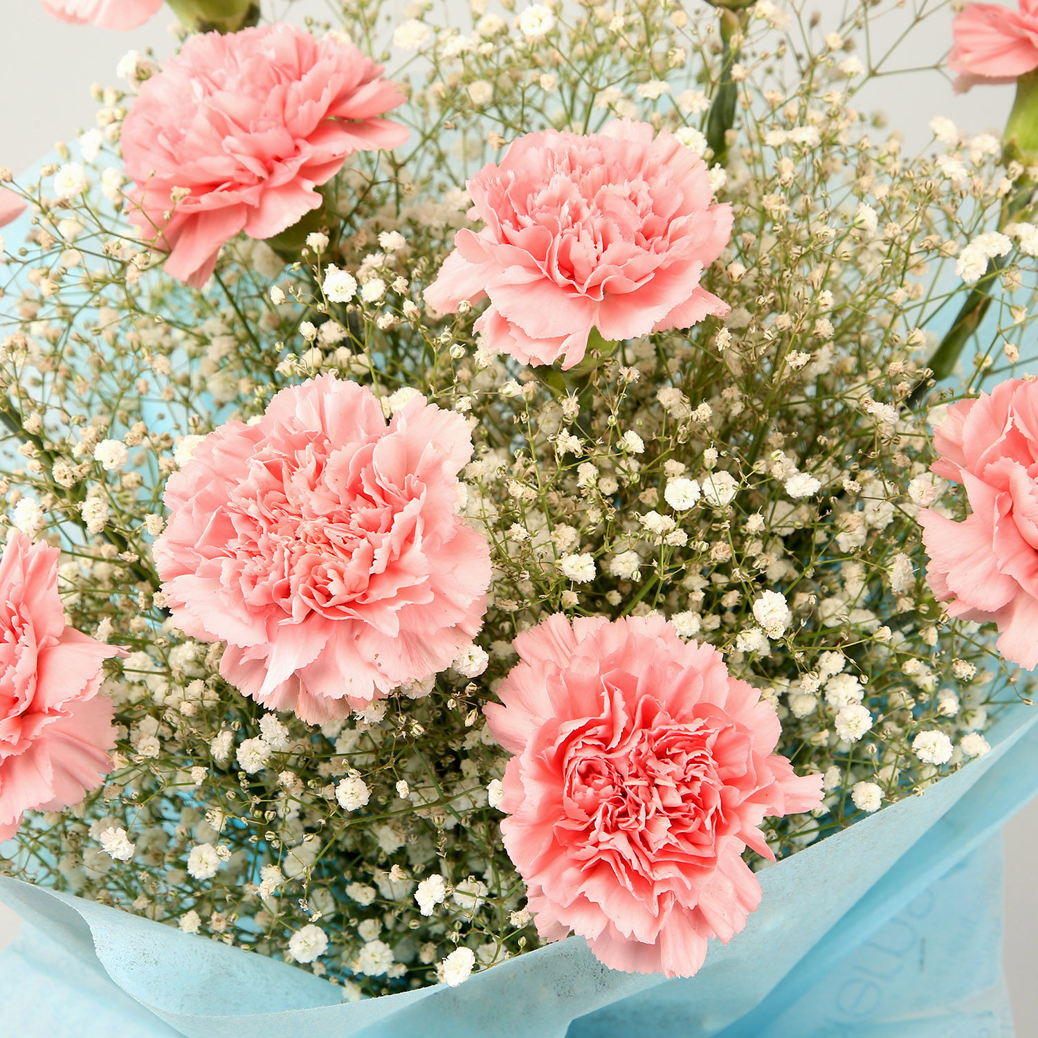 Dazzle With Simplicity Carnations Bouquet For Valentine's Day Gift view 2