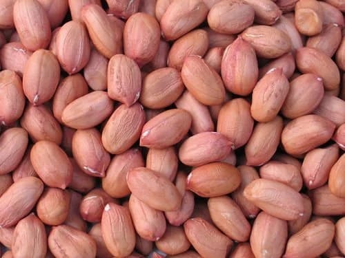 Groundnut, 1kg view 2