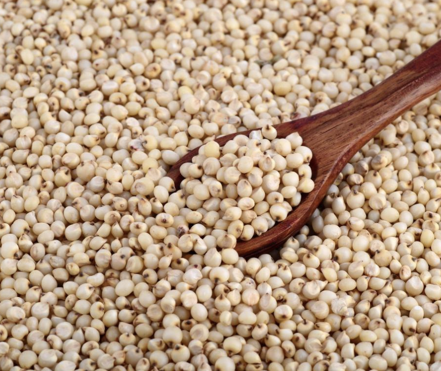 Cholam (Sorghum) rice