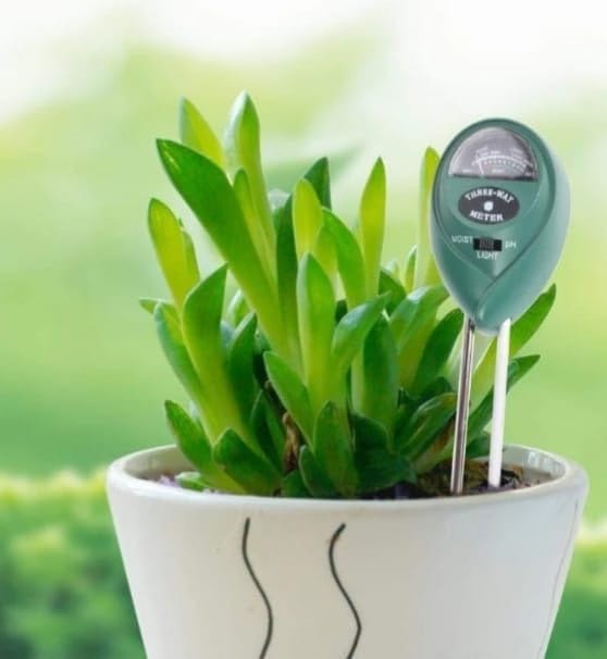 DHRUVINSRI 3-in-1 Soil Tester Plant Moisture Sensor – Measure Moisture, pH, and Light view 2