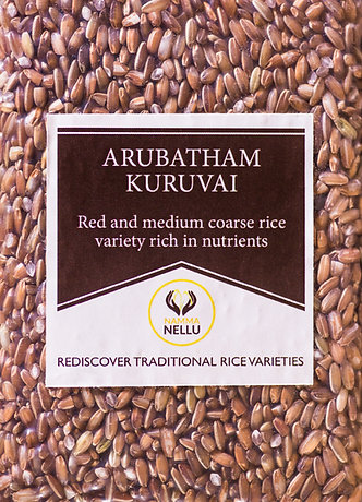 Arubatham Kuruvai (Raw Rice) - 500 Gms view 2