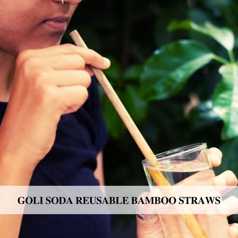 Goli Soda Reusable Bamboo Straws With Easy Carry Travel Pouch (Set of 6) view 2