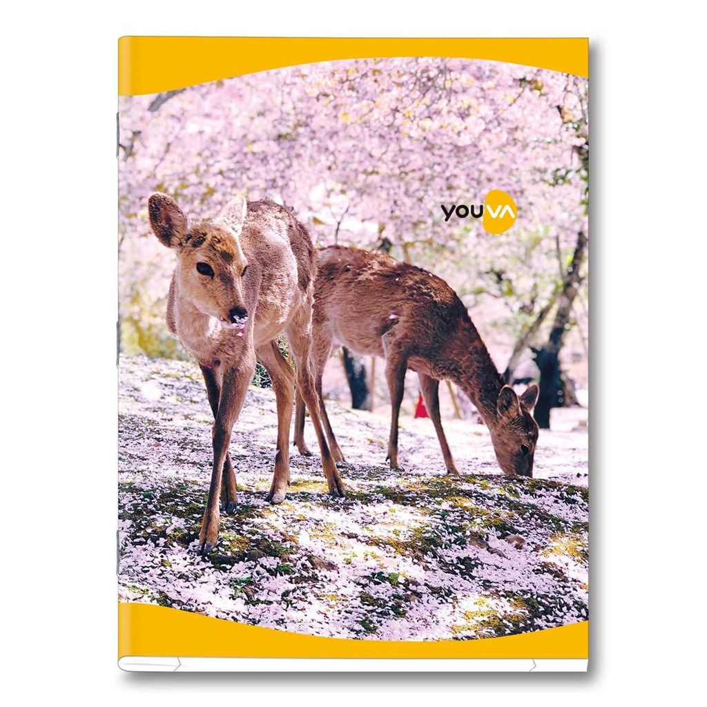 Navneet Youva | Soft Bound Note Book for Younger Students | Jumbo Size 18 cm x 24 cm | Red & Blue (With Gap) | 172 Pages