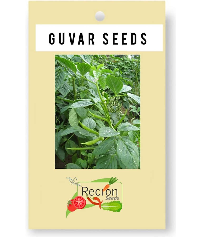 Recron Seeds - Beans Vegetable ( 10 Seeds ) view 2