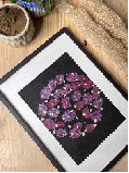 Bougainvillea Pressed Flower Frame Handmade Botanical Wall Art for Gifting & Dcor