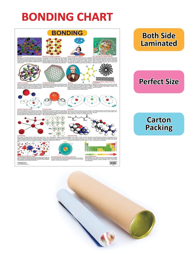 Bonding Wall Chart (Science Chart) - Both Side Hard Laminated (Size 48 x 73 cm) [Poster] Dreamland Publications view 2