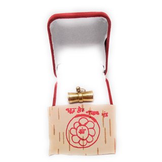 Sarv Sidhi Bhoot Pret Nashak Yantra Tabiz in Ashtadhatu Gold Plated 100 Effective view 2