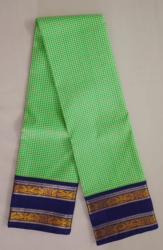 NVBS009-Checked light green and dark blue color saree view 2