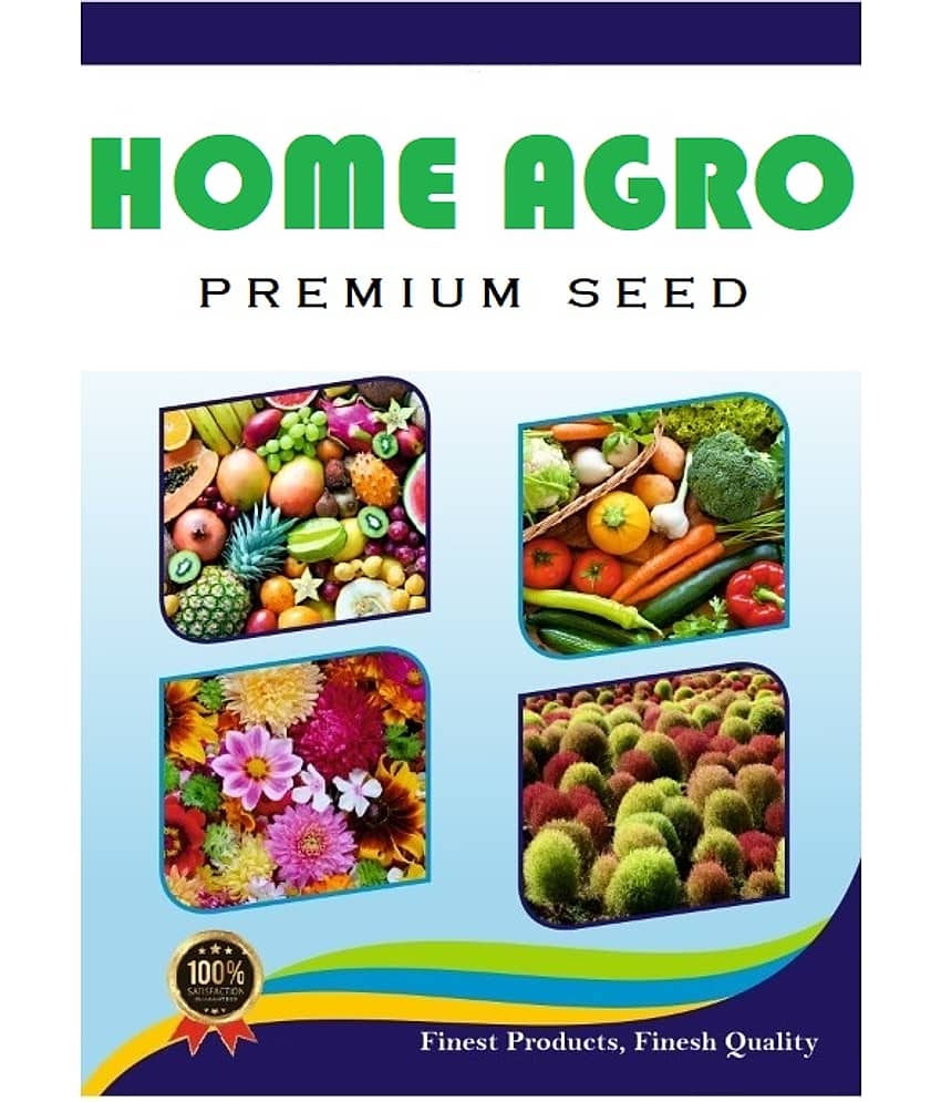 homeagro - Zinnia Mixed Flower ( 20 Seeds ) view 2