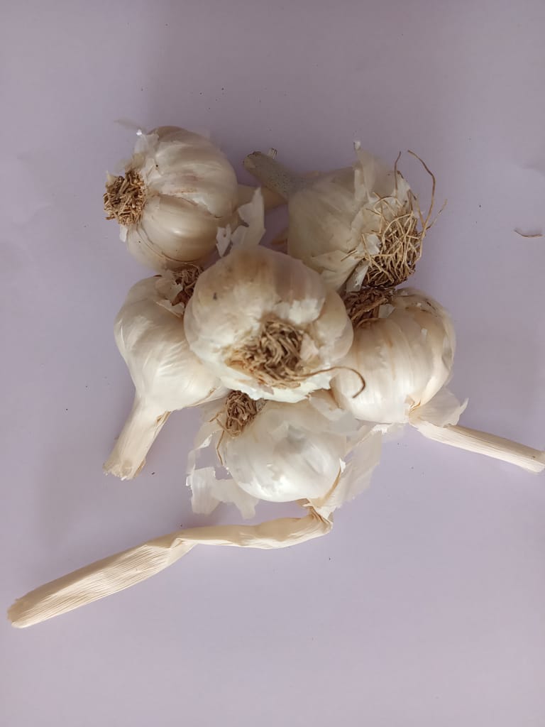 Garlic 200 gm view 2