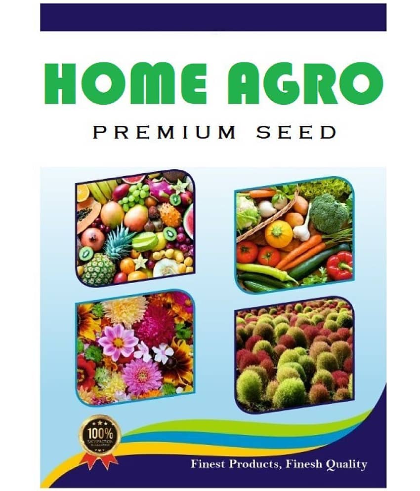homeagro - Bitter Gourd Vegetable ( 20 Seeds ) view 2
