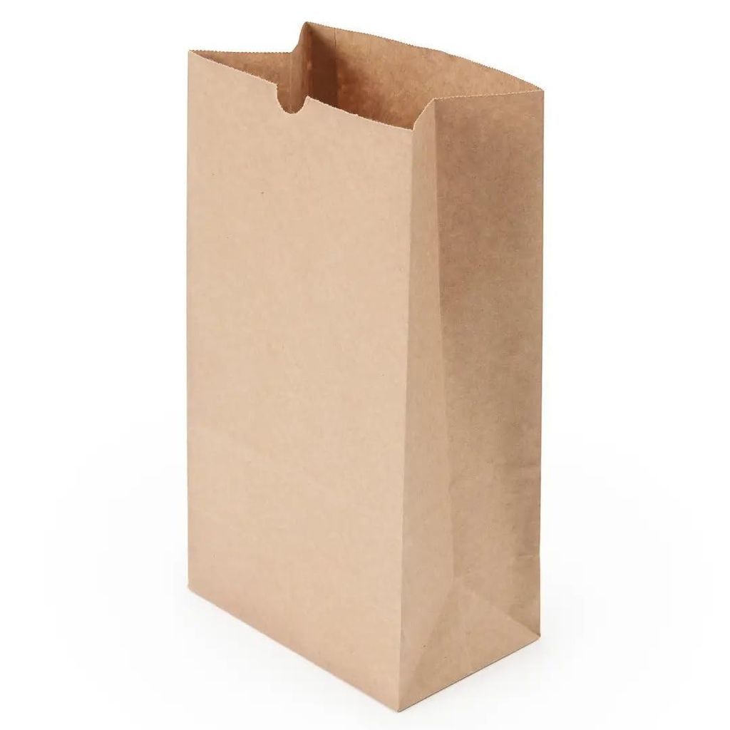 Divatos Kraft Brown Paper Carry Bags Lifafa 12X9X6 Inch | Grocery Snacks Bakery Restaurants Takeaway & Cloud Kitchen Food Delivery | Disposable Recyclable Eco Friendly Paper Bag (Pack of 25) view 2