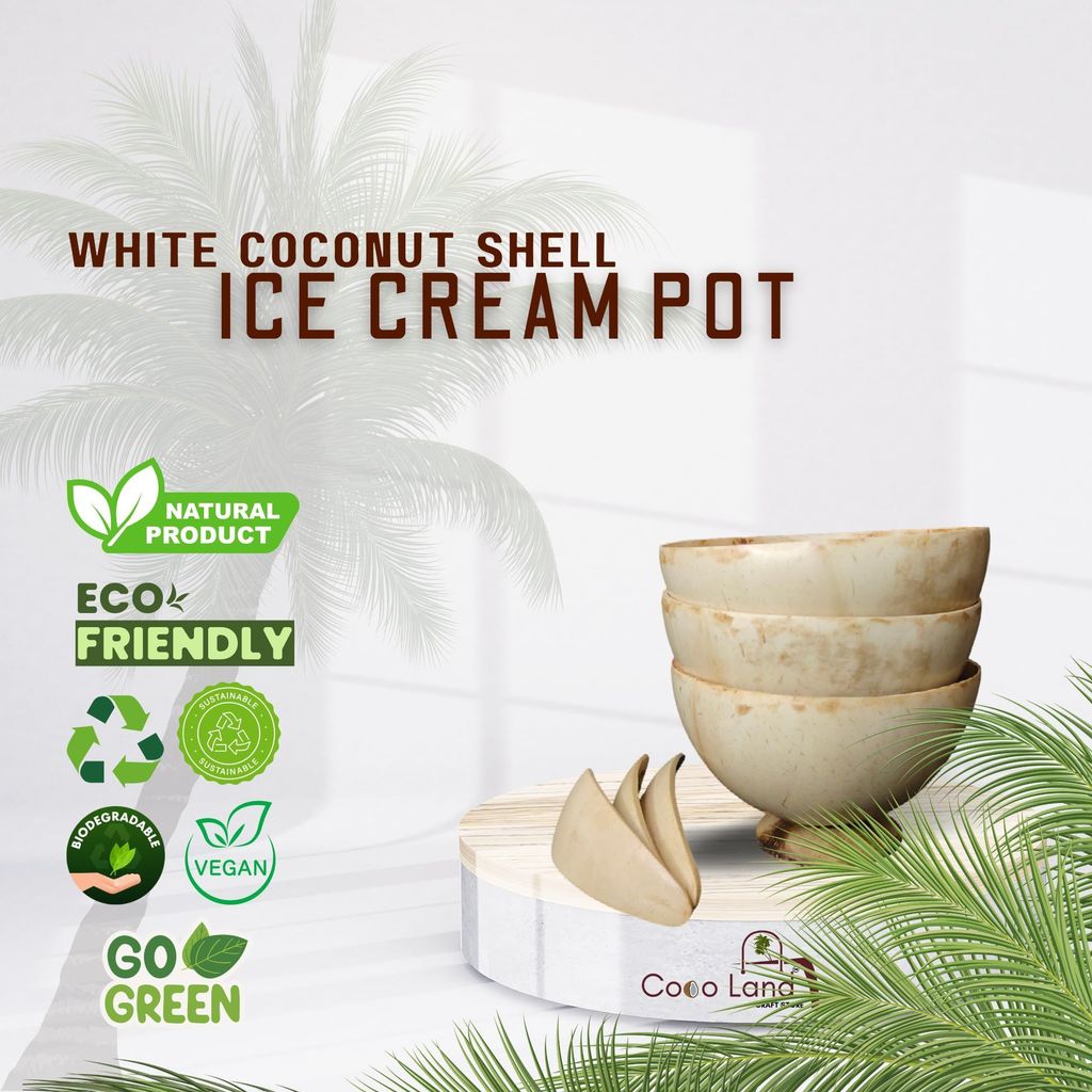CocoLand Coconut Shell Ice Cream Pot Large Size 250 ml view 2