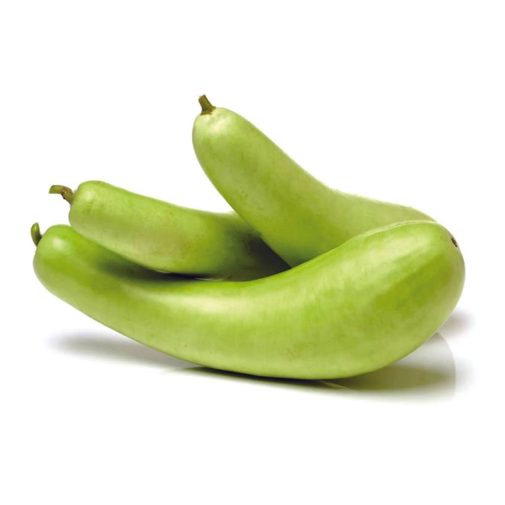 bottle gourd view 2
