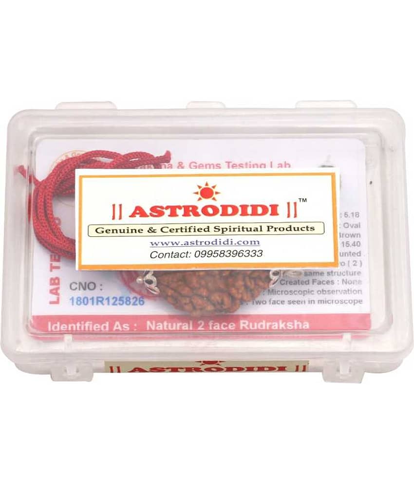 Astrodidi 2 Mukhi Rudraksha Pendant Wth Lab Certificate view 2