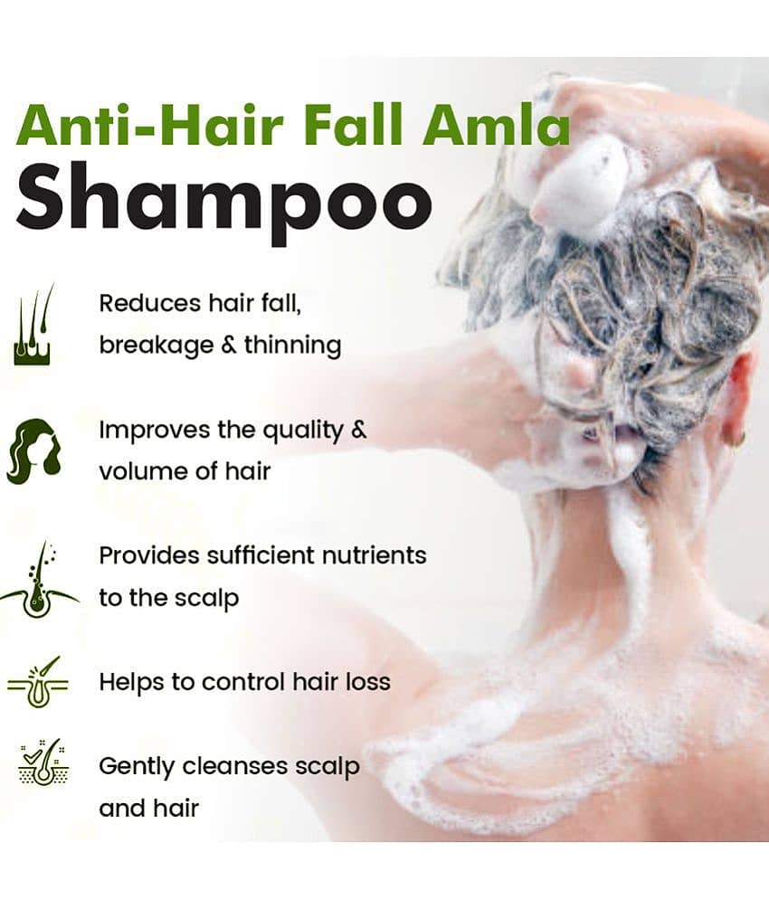 Kayamaya Amla Shampoo for Hair Growth & Root Strengthening Shampoo 600 mL Pack of 2 view 2