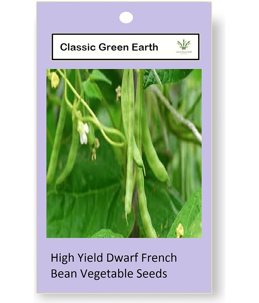 CLASSIC GREEN EARTH - French Beans Vegetable ( 60 Seeds ) view 2