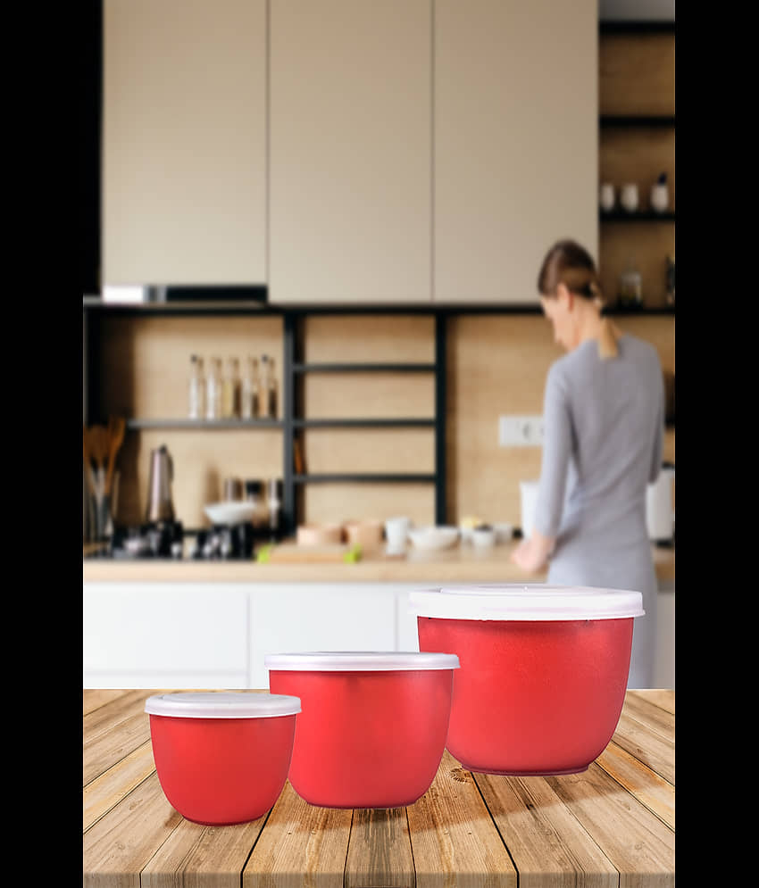 BOWLMAN Steel Food Container Set of 3 3000 mL view 2