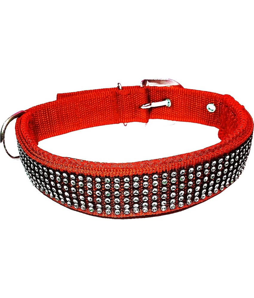 Petshop7 Red Combo (Collar Belt and Leash) ( X-Large ) view 2