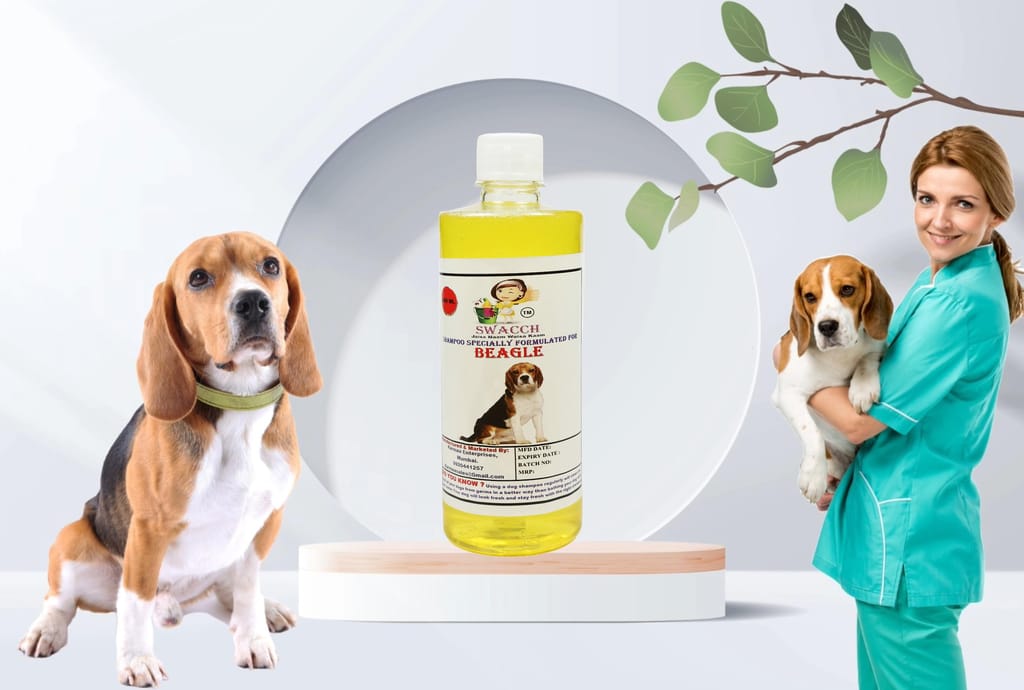 Swacch Shampoo Specially Formulated for Beagle (500ml) Lemon view 2