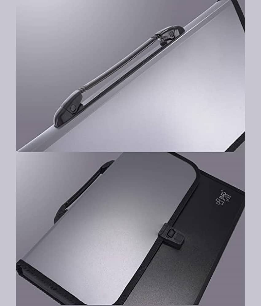 RAVARIYA GRAPHIC - Silver File Folder ( Pack of 1 ) view 2