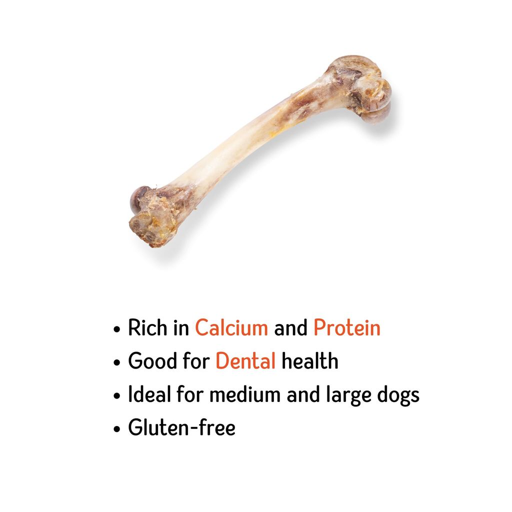 Nuts over Mutts Dehydrated Pork Bone, Chewing Bone for Dogs, Dehydrated Dental Bone for Dogs, All Natural Dog Treat, Protein and Calcium Rich, 1 Pack (2 Bones) for Rs 649/- view 2