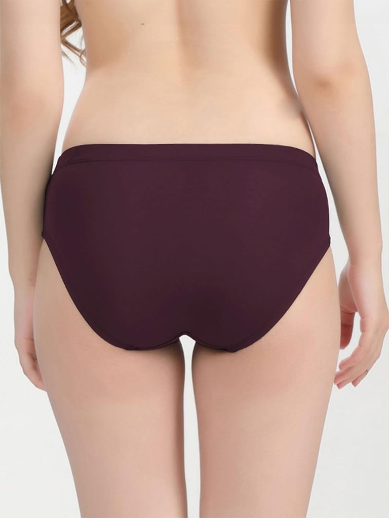 Freecultr Women’s Micromodal Mid-Rise Hipster | Super Soft & Breathable Fabric | Medium Rear Coverage | Comfortable Stretch Elastic | Pack of 3 |Color - Port Wine,Pink,Clay view 2