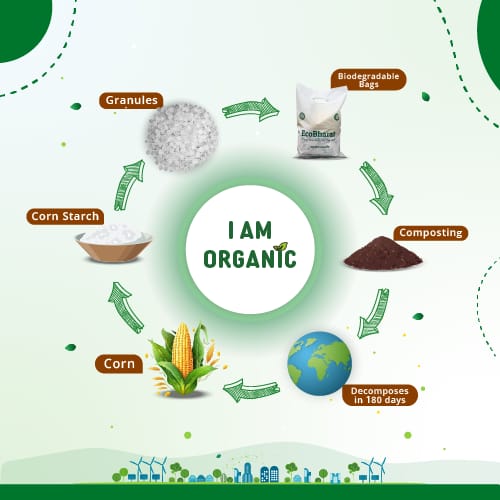 Biodegradable and Compostable U-cut Carry Bags|10x12 (175pieces)|capacity 1.5kg|Grocery Bags, Shopping Bags| view 2