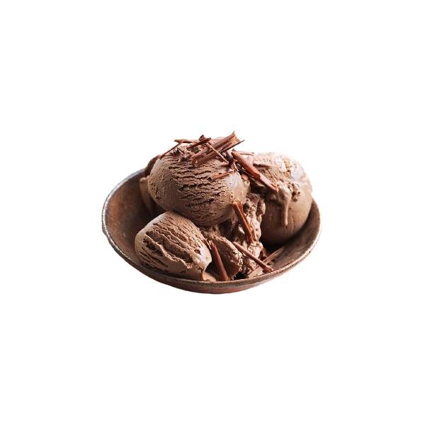 Premium Ice Cream Tubs Double Chocolate (500 ml)