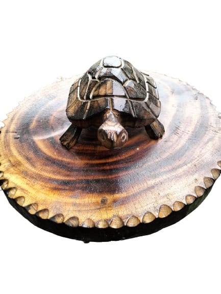 Handcrafted Wooden Tortoise view 2