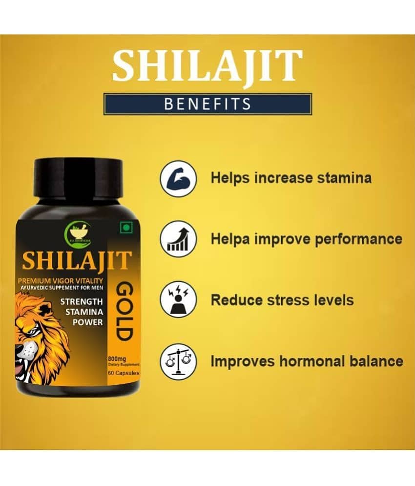 FIJ AYURVEDA Shilajit Gold Capsule Ayurvedic Shilajit for Men & Women - 800mg 60 Capsules (Pack of 2) view 2