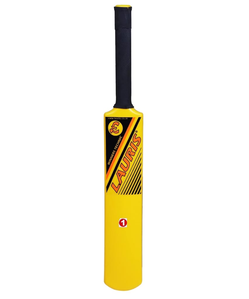 Lauris Fighter Cricket Bat view 2