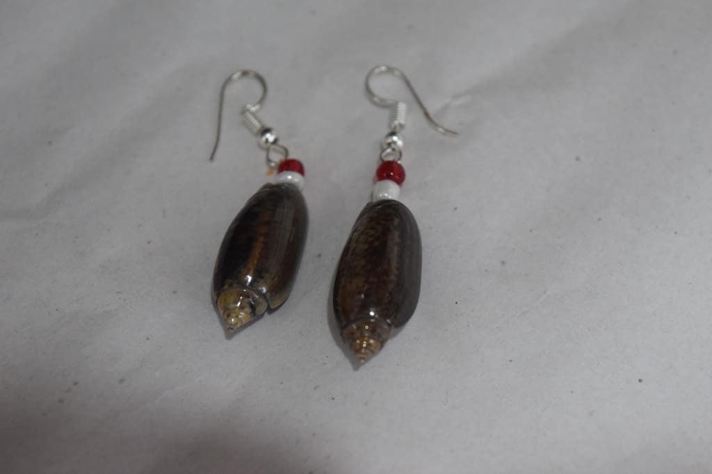 Handmade Natural Wood Dangle Earrings with Red and White Beads, Silver Hooks, Brown Oval Design view 2